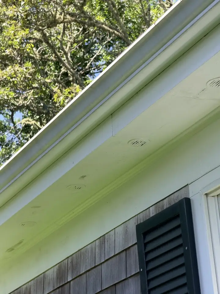 Soffit and trim turning green with mold next to a dark shutter
