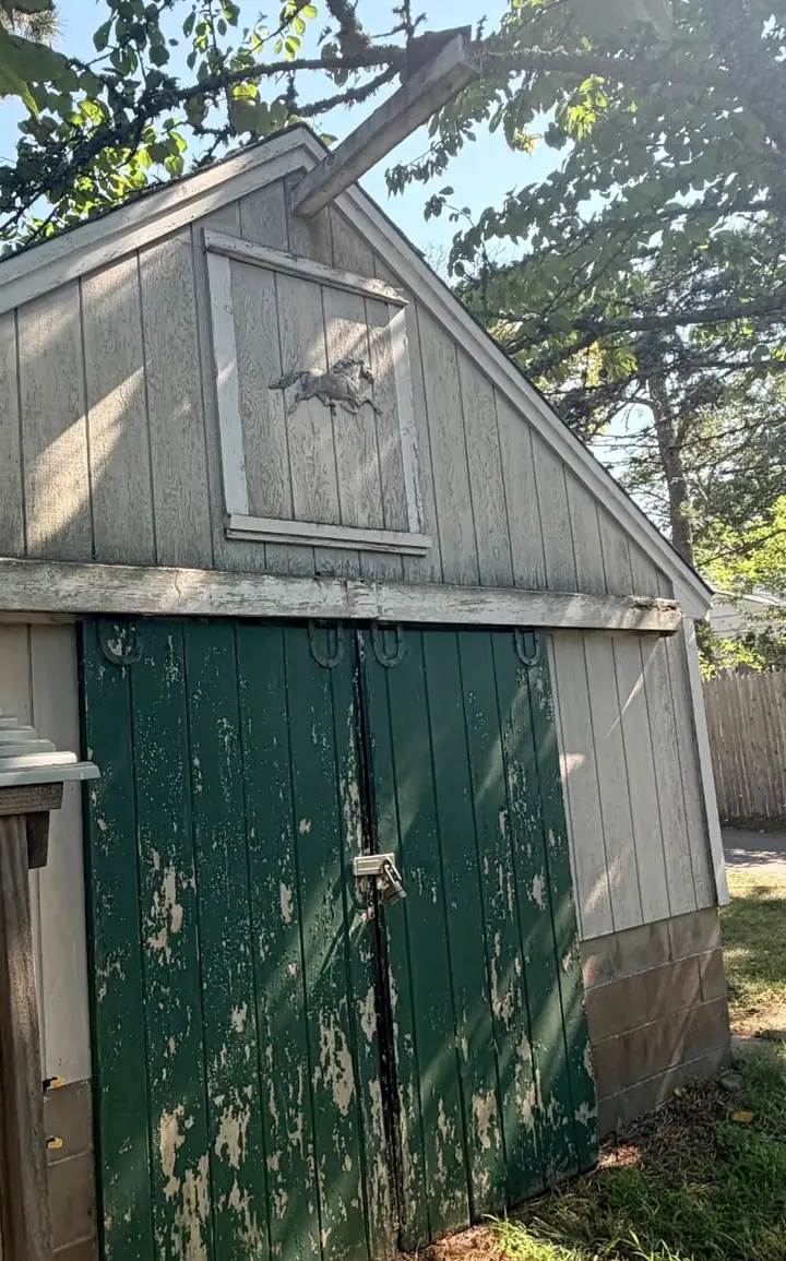 Paint peeling off the siding and green doors of a barn before repainting